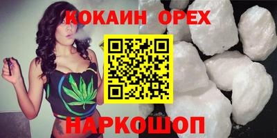 крисы Кулебаки