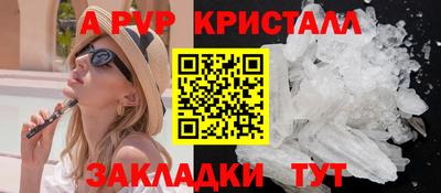 крисы Кулебаки