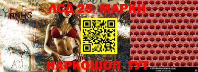 крисы Кулебаки