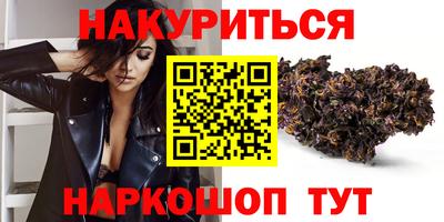 крисы Кулебаки